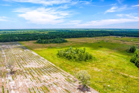Land For Sale In Bradford County !! - image 10