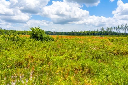 Land For Sale In Bradford County !! - image 22
