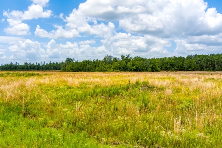 Land For Sale In Bradford County !! - image 15