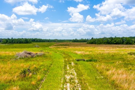 Land For Sale In Bradford County !! - image 14