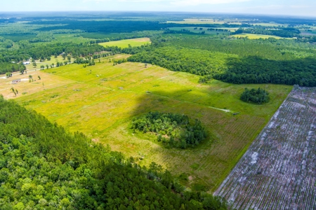 Land For Sale In Bradford County !! - image 6