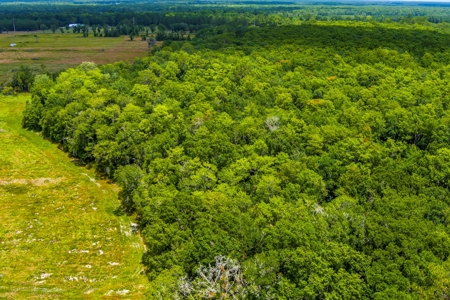 Land For Sale In Bradford County !! - image 9