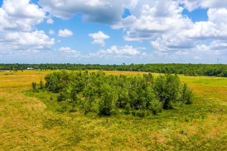 Land For Sale In Bradford County !! - image 21