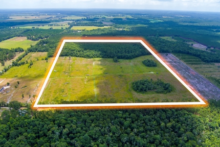 Land For Sale In Bradford County !! - image 5