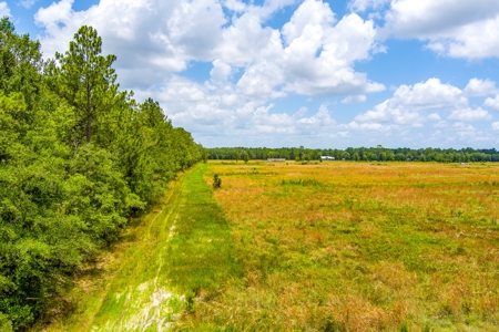 Land For Sale In Bradford County !! - image 7