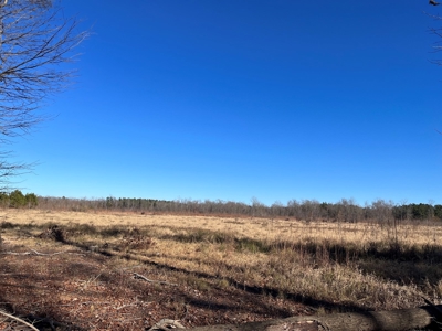 Mustin Lake Hunting Land for Sale - image 1