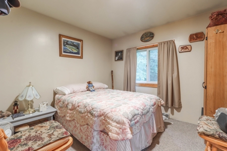 Country Home in Scandinavia, WI for Online AUCTION - image 13
