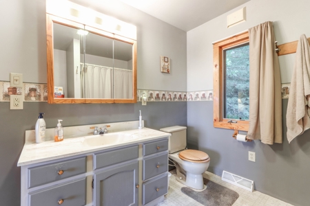 Country Home in Scandinavia, WI for Online AUCTION - image 12