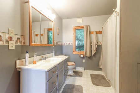 Country Home in Scandinavia, WI for Online AUCTION - image 11