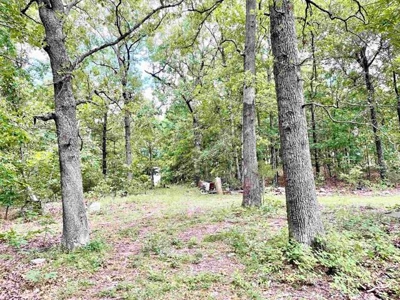 Cedar Sided home on 5 ac for sale Viola, AR - image 44
