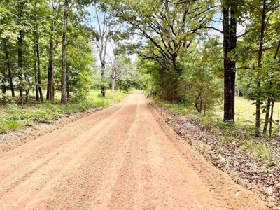Cedar Sided home on 5 ac for sale Viola, AR - image 50