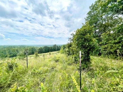 Cedar Sided home on 5 ac for sale Viola, AR - image 47