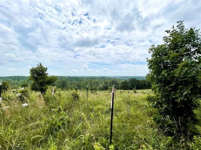 Cedar Sided home on 5 ac for sale Viola, AR - image 46
