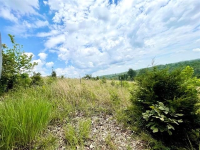 Cedar Sided home on 5 ac for sale Viola, AR - image 45
