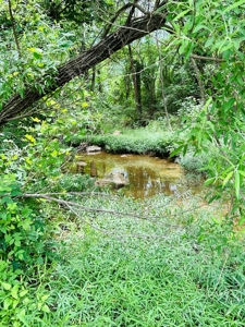 Country Home For Sale In North Central Arkansas - image 47