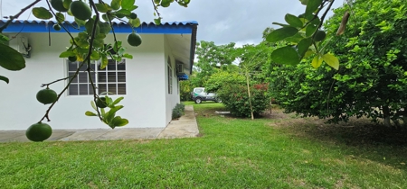 House with Pool just 1 minute walk from the beach - image 33
