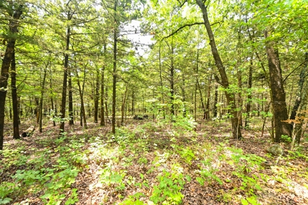 Land For Sale Pomme De Terre Lake - image 4
