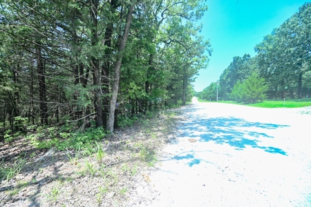 Land For Sale Pomme De Terre Lake - image 17