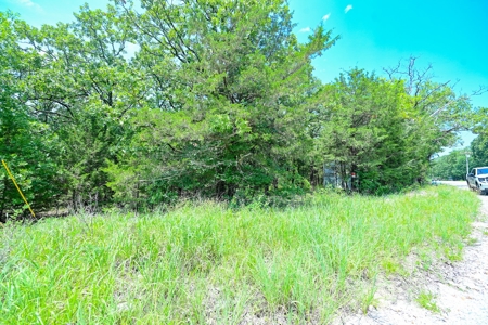 Land For Sale Pomme De Terre Lake - image 19