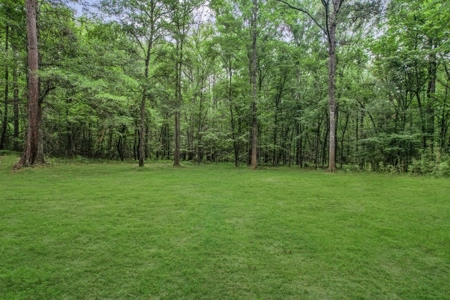 Wilkinson County Land for Sale Bordering National Forest - image 24