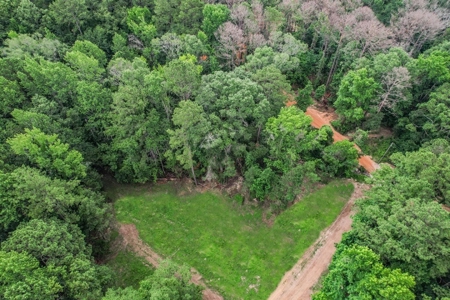 Wilkinson County Land for Sale Bordering National Forest - image 22