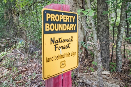 Wilkinson County Land for Sale Bordering National Forest - image 15