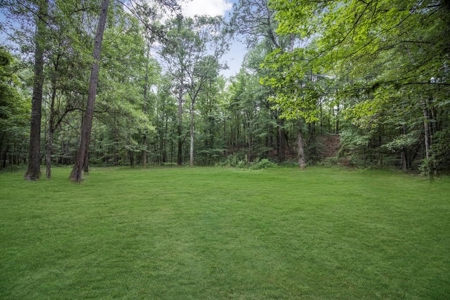 Wilkinson County Land for Sale Bordering National Forest - image 27