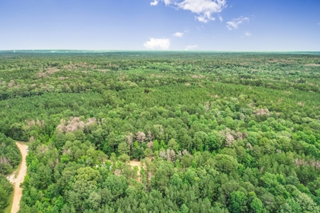 Wilkinson County Land for Sale Bordering National Forest - image 30