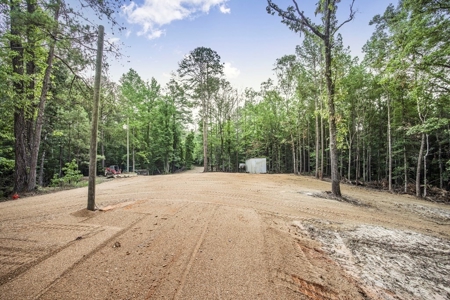 Wilkinson County Land for Sale Bordering National Forest - image 9