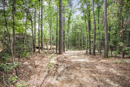 Wilkinson County Land for Sale Bordering National Forest - image 18