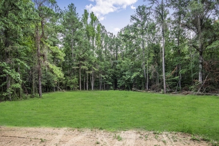 Wilkinson County Land for Sale Bordering National Forest - image 12