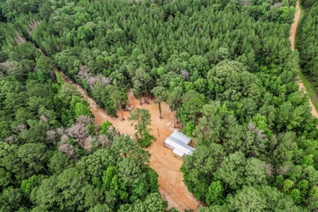 Wilkinson County Land for Sale Bordering National Forest - image 20