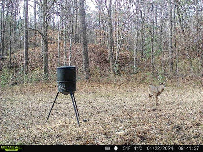 Wilkinson County Land for Sale Bordering National Forest - image 1