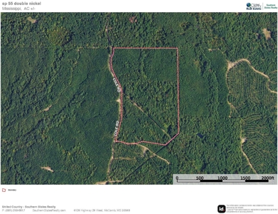 Wilkinson County Land for Sale Bordering National Forest - image 41