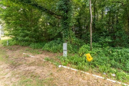 Country Home and Acreage with Live Water in Marion County - image 19