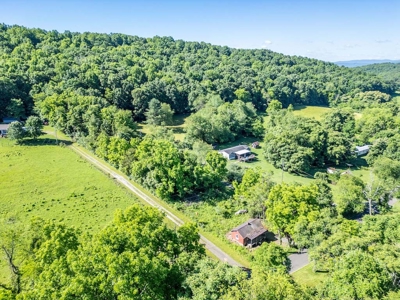 Building Site for Sale at Auction in Max Meadows VA - image 8