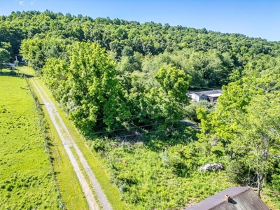 Building Site for Sale at Auction in Max Meadows VA - image 17