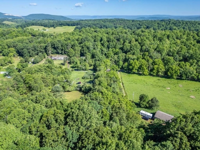 Building Site for Sale at Auction in Max Meadows VA - image 9