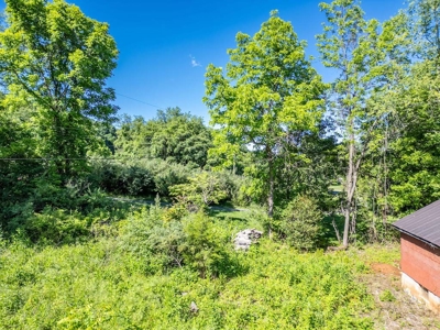 Building Site for Sale at Auction in Max Meadows VA - image 15