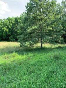 Private Home with Excellent access - image 18