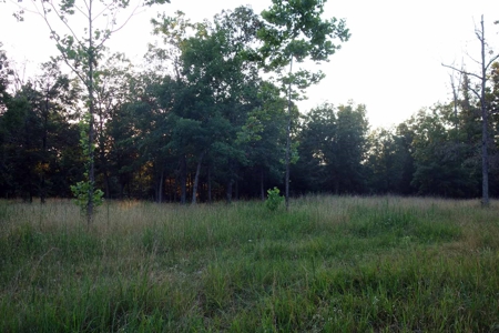 Land For Sale In Shannon County Missouri - image 13