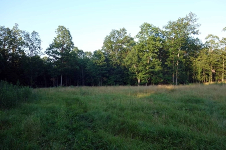 Land For Sale In Shannon County Missouri - image 25