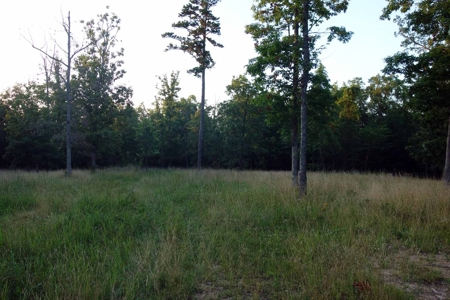 Land For Sale In Shannon County Missouri - image 14