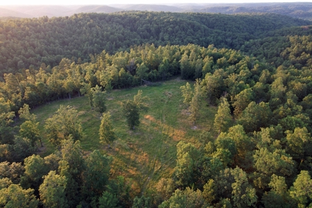 Land For Sale In Shannon County Missouri - image 20