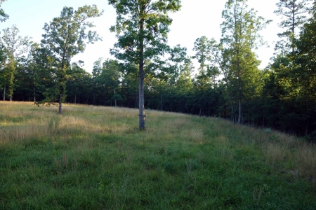 Land For Sale In Shannon County Missouri - image 28