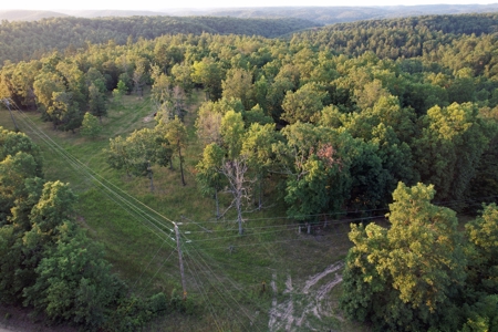 Land For Sale In Shannon County Missouri - image 8