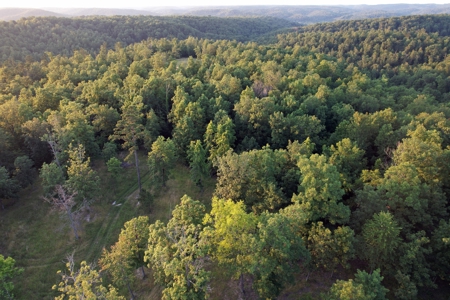 Land For Sale In Shannon County Missouri - image 11