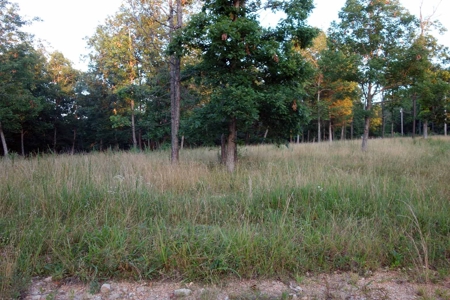 Land For Sale In Shannon County Missouri - image 17