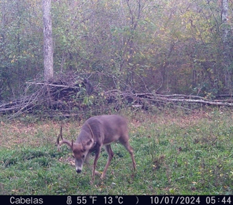 Land For Sale In Shannon County Missouri - image 42