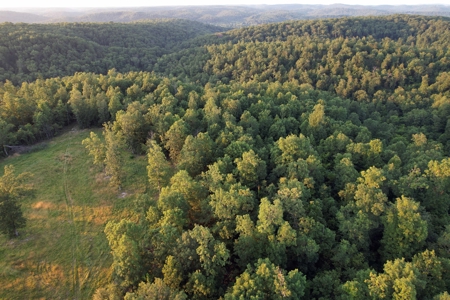 Land For Sale In Shannon County Missouri - image 21